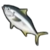 DogIsland yellowtailkingfish.png