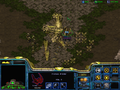 SC Shadow Hunters Strike Force.png