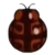 DogIsland turtlebackladybug.png