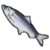 DogIsland herring.png