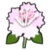 DogIsland azaleaflower.png