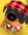 DogIsland alphonso.jpg