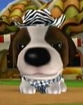 DogIsland gordon.jpg