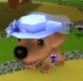 DogIsland elaine.jpg