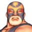 Portrait CVS Raiden.png