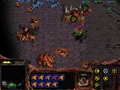 SC Culling Attacking Western Enemy.png