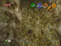 LoZ OOT Skulltula 09.jpg