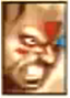 Portrait VFR Wolf Hawkfield.png