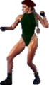 SFTM Cammy.png
