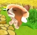DogIsland eisman.jpg