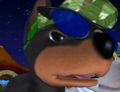 DogIsland mccoy.jpg