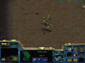 SC Higher Ground Zerglings.png