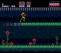 Super Metroid Walkthrough Brinstar Noob Bridge.png