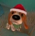 DogIsland henry.jpg