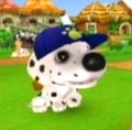 Dog Island Boris.jpg