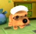 DogIsland alice.jpg