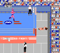 120px-Pro_Wrestling_Flying_Body_Splash.gif