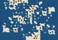 TACC-Map-East Indeez.jpg