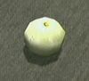 Dead rising melon.jpg