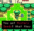 LOZ Oos Mystery Seeds.PNG