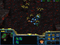 SC Choosing Sides Scourge.png