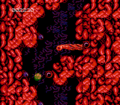 Abadox stage 2-2 step 5.png