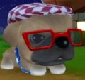 DogIsland clark.jpg