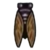 DogIsland brownwingcicada.png