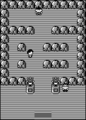 Pokemon RBY Pewter Gym.png