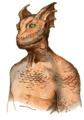Oblivion Argonian sketch.png