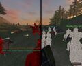 Mount&Blade texture error.jpg