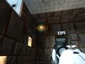 Portal pellet.jpg