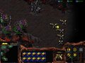 SC Dark Templar Dragoons.png