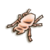 LoZ TP female stag beetle.png