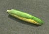 Dead rising corn.jpg