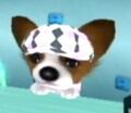 DogIsland cameron.jpg