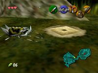 LoZ OOT Skulltula 02.jpg