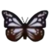 DogIsland chestnuttigerbutterfly.png