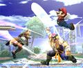 SSBB assist trophy samurai goro.jpg