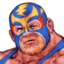 Portrait CVS Raiden EX.png