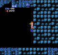 Metroid NES Brinstar Note3.png
