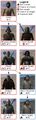 Mount&Blade bandit troop tree.jpg