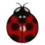 DogIsland sevenspottedladybug.png