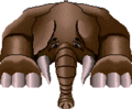 WD Sphinmoth.gif