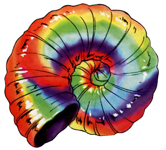 Rainbow_Shell.png
