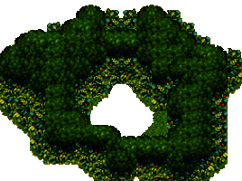 File:Forest Maze.png