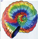 Rainbow Shell (Chrono Trigger).png