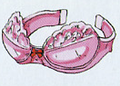 Flea's Vest (or bra/bustier) as it appeared in official artwork for Chrono Trigger. It is unknown if Flea's Vest appears the same in Chrono Cross.
