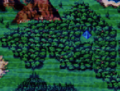 Fiona's Forest I.png