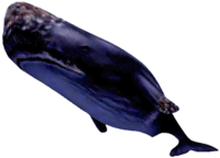 ChronoCrossBlueWhale.png